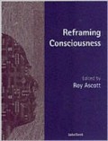 Reframing Consciousness