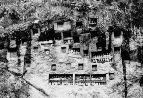 Toraja-01