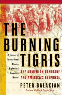 Image of The Burning Tigris
