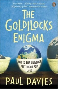 Image of The Goldilocks Enigma