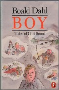 Boy: Tales of Childhood
