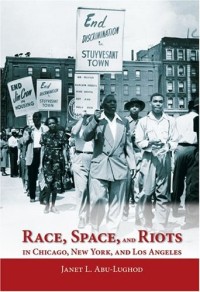 Race, Space, And Riots In Chicago, New York, And Los Angeles