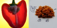 Supper Snapshot