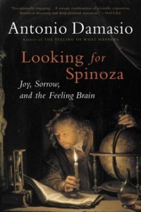 Image of Looking For Spinoza: Joy, Sorrow, And The Feeling Brain