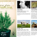 c2o Newsletter vol. 14: Changes grow from the smallest things